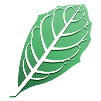 SOM Cottonwood Leaf Cooling